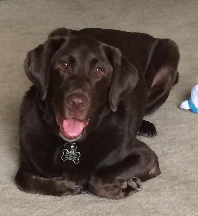 My Baby, Bishop Milo Has Passed Away&nbsp;😔