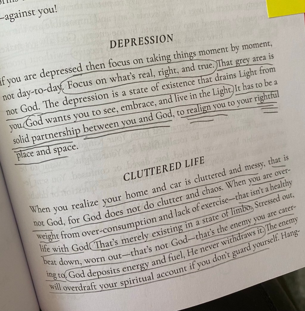 Looking Into My Mind, Heart, and World Through My Seek Him Book&nbsp;Series